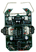 Cybug Scarab:Robotic Artificial Lifeform